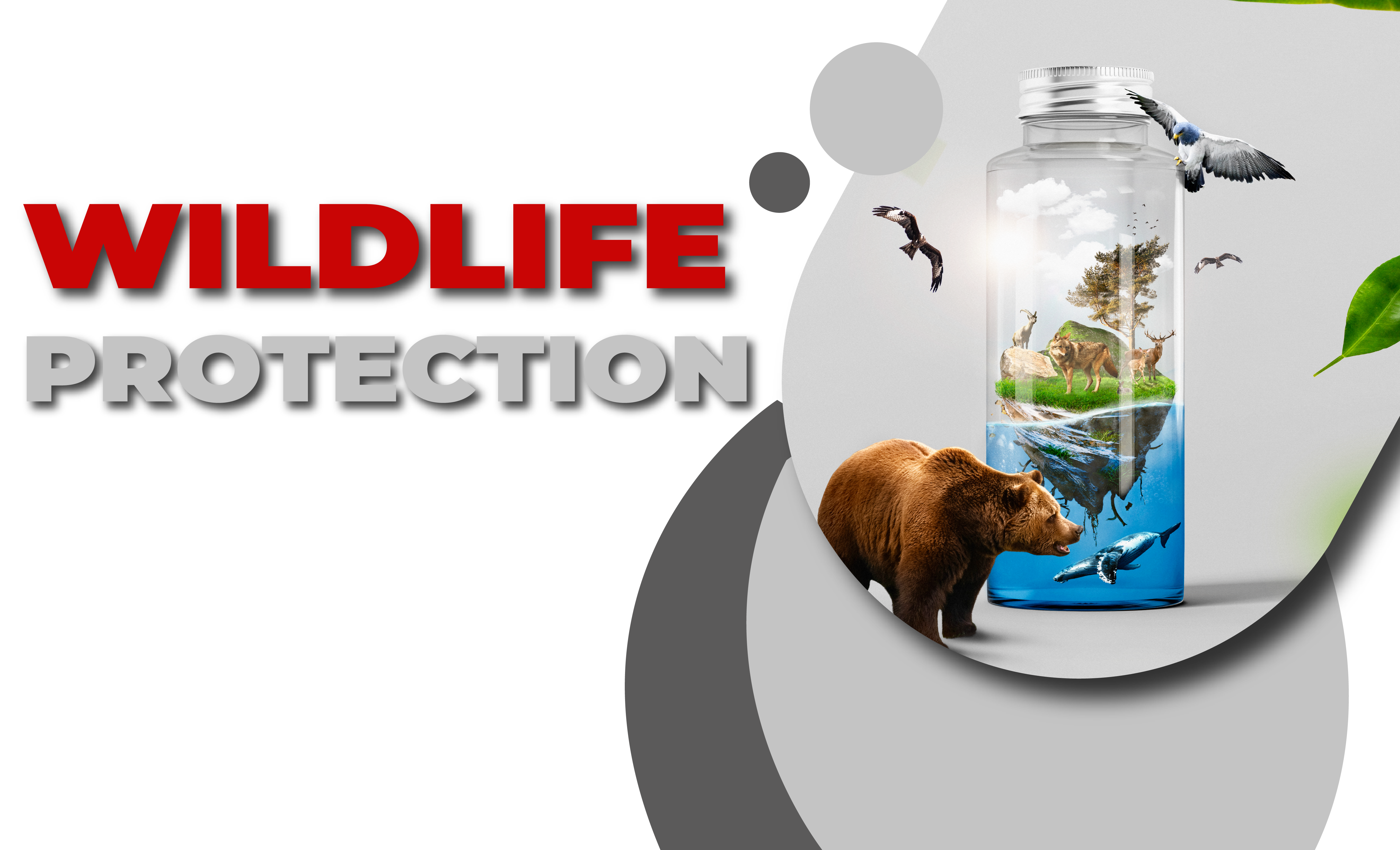 Anti-Poaching & Wildlife Protection