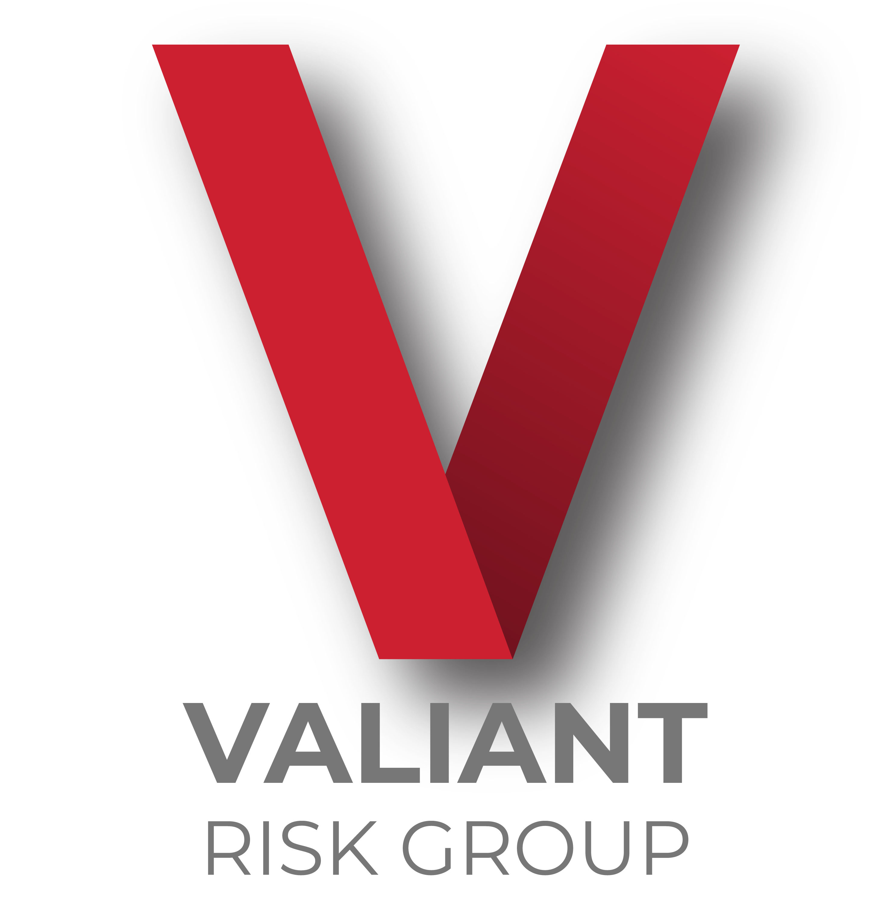 Valiant Risk Group Logo